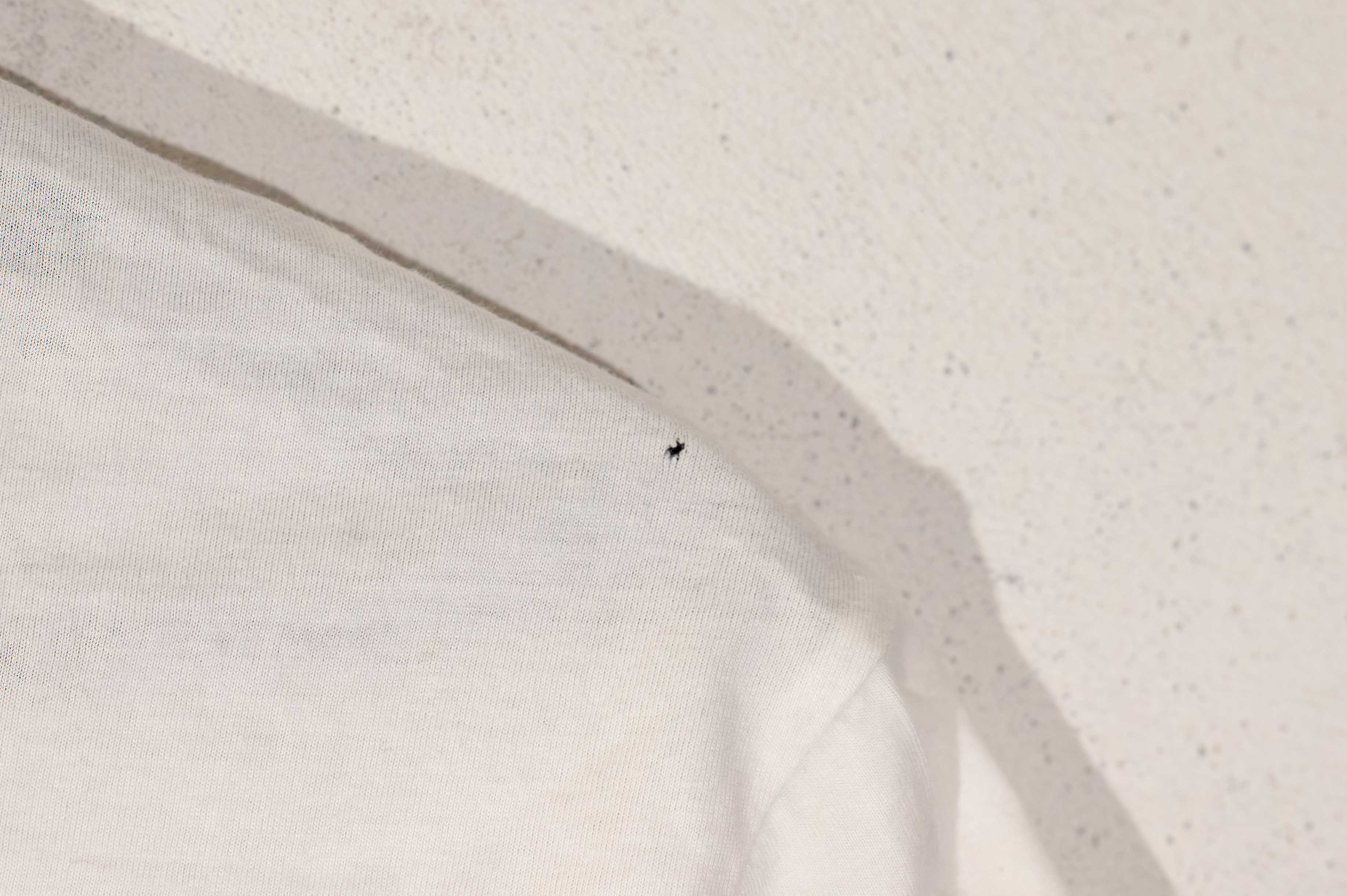 Armani Jeans - T-Shirt